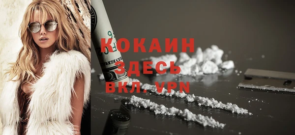 крисы Ростов
