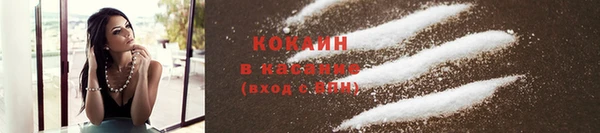 крисы Ростов
