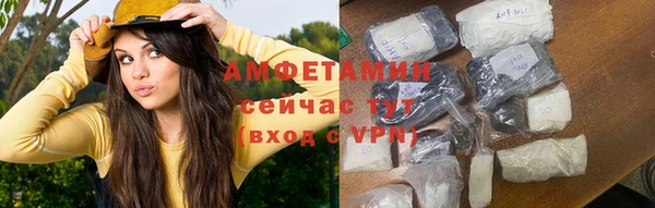 крисы Ростов