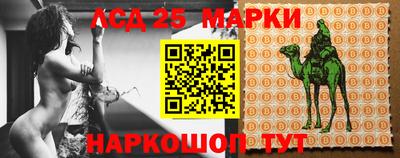Альфа ПВП Анапа