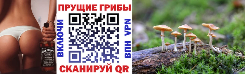 Галлюциногенные грибы GOLDEN TEACHER Богданович