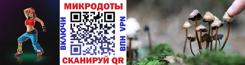магазин продажи наркотиков  Богданович  сайты даркнета официальный сайт  Псилоцибиновые грибы Psilocybine cubensis 