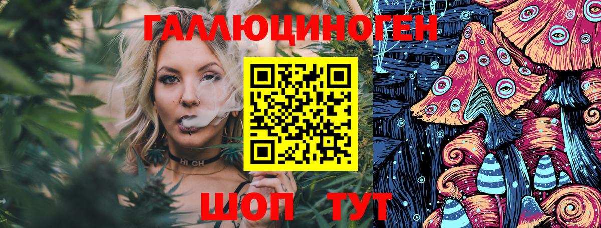 Галлюциногенные грибы мицелий Богданович