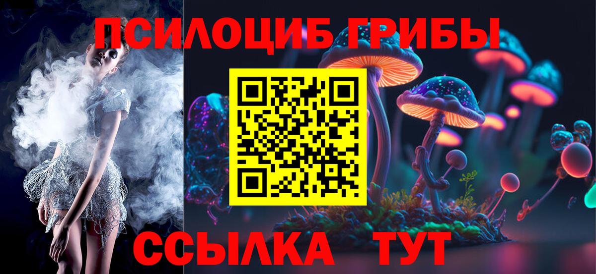 Псилоцибиновые грибы Cubensis  Псилоцибиновые грибы прущие грибы  Богданович  Вход с VPN 